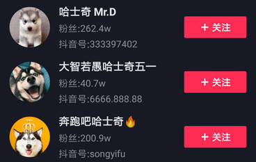 哈士奇短視頻營(yíng)銷(xiāo)策劃 哈士奇短視頻營(yíng)銷(xiāo)策劃