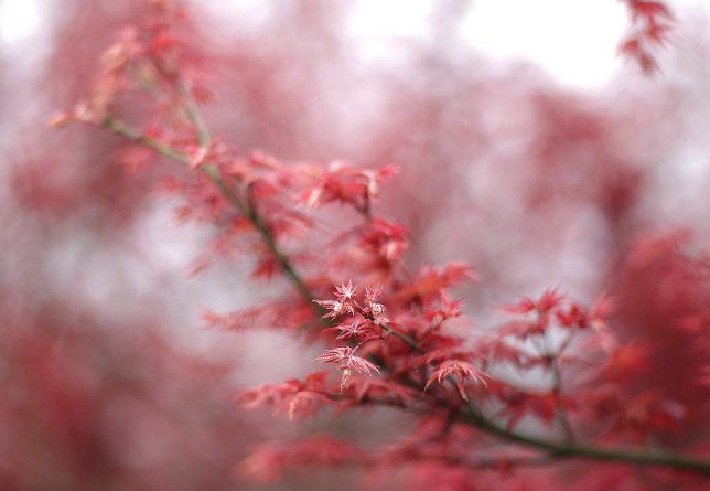 農(nóng)產(chǎn)品短視頻營銷策劃