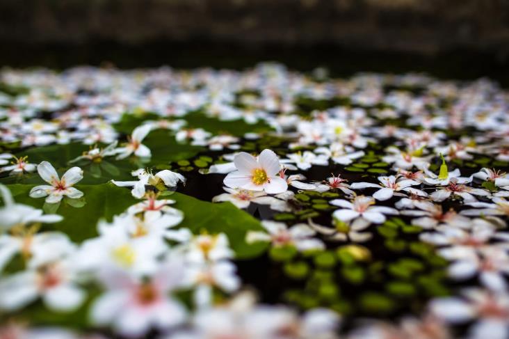 上海短視頻代運營公司