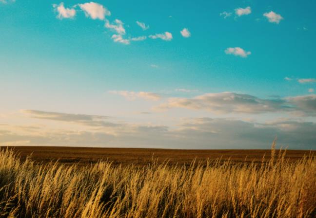 上海短視頻代運營公司如何構(gòu)建私域流量 上海短視頻代運營公司如何構(gòu)建私域流量