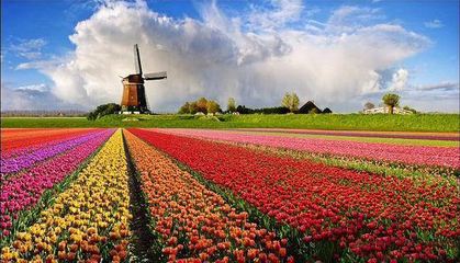 要想做成功農(nóng)業(yè)品牌策劃:這三項重要內(nèi)容不能忽略