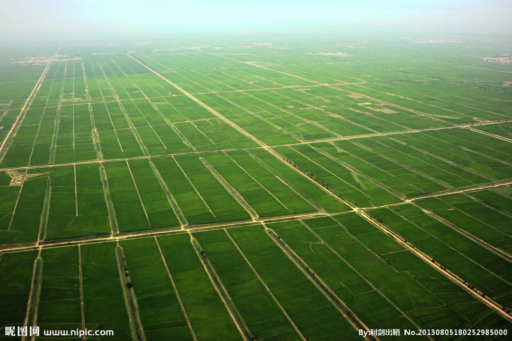 農(nóng)業(yè)品牌策劃應該怎么做