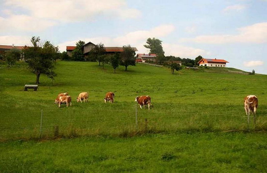 要想做好農(nóng)業(yè)品牌定位:這三大要素不能缺少!