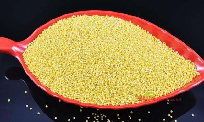 品牌定位，農業品牌定位，小米品牌定位