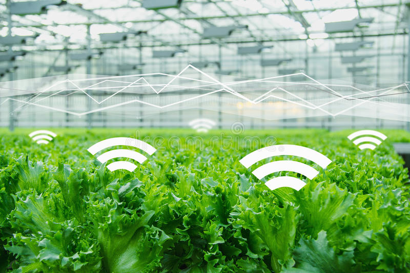 農業品牌定位，互聯網農業品牌定位