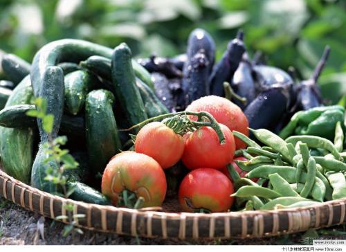 農產品品牌策劃