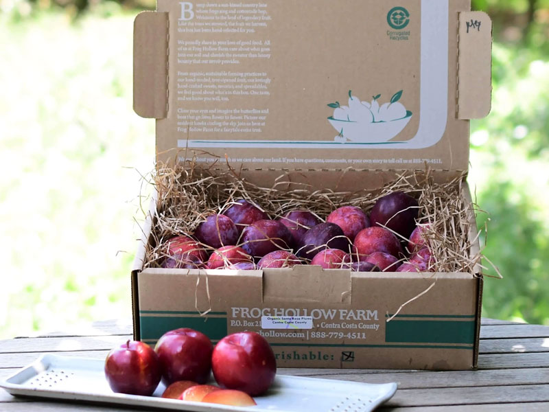 農(nóng)產(chǎn)品水蜜桃包裝設(shè)計(jì)欣賞 農(nóng)產(chǎn)品水蜜桃包裝設(shè)計(jì)欣賞