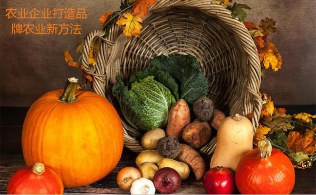 農業企業打造品牌農業新方法 農業企業打造品牌農業新方法