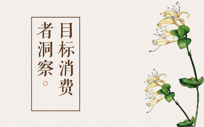 目標(biāo)消費者洞察 中醫(yī)理療品牌全案策劃