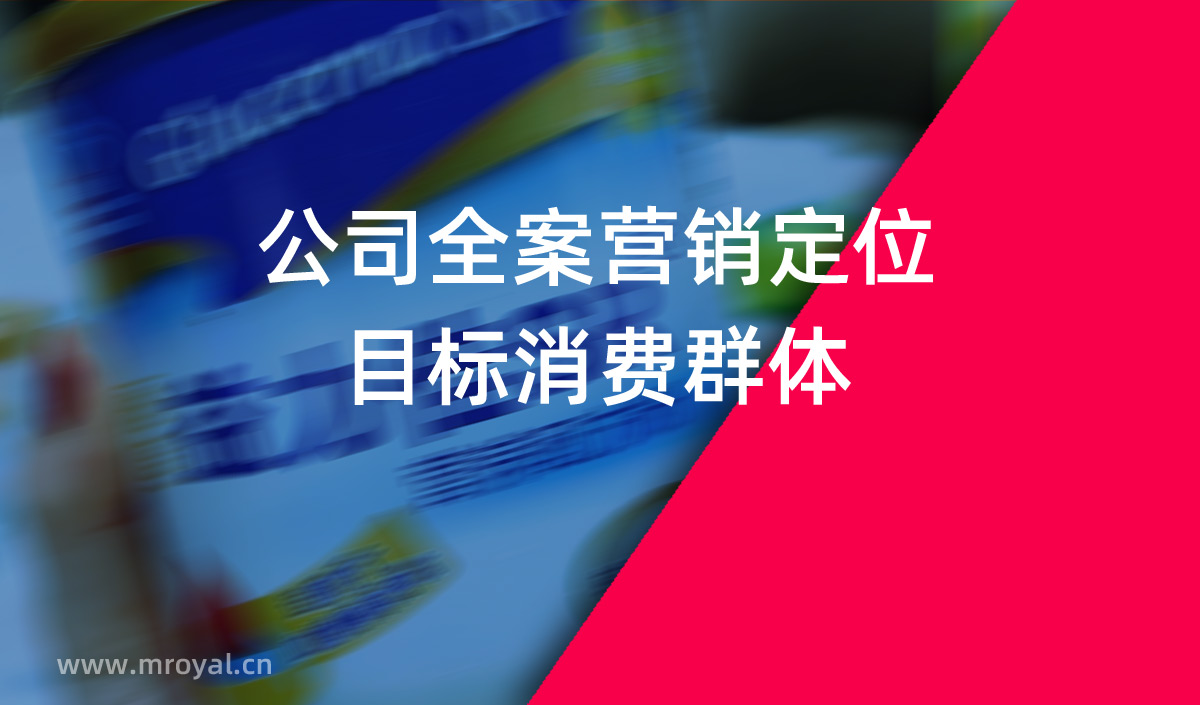 公司全案營銷定位目標(biāo)消費(fèi)群體