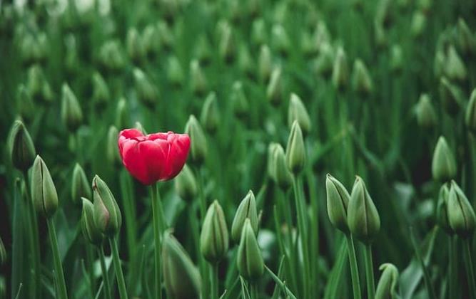 企業形象策劃公司 企業形象策劃公司