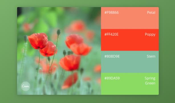 品牌全案設計師如何找到完美的色彩組合 品牌全案設計師如何找到完美的色彩組合