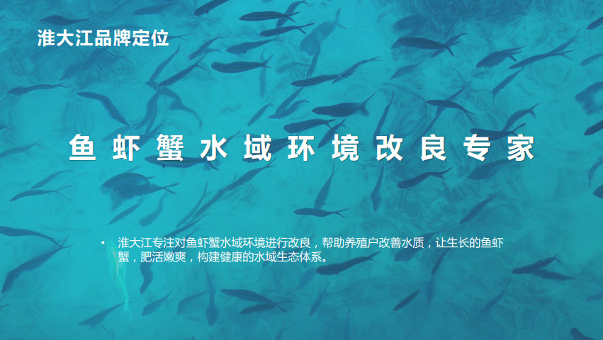 水產(chǎn)動保品牌全案策劃設計