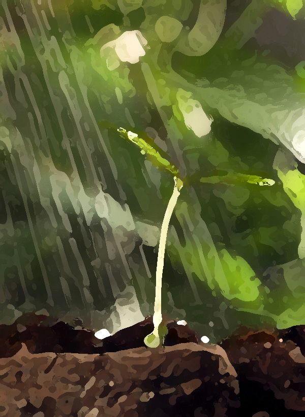 農業公司品牌提升策劃,實現農業垂直一體化