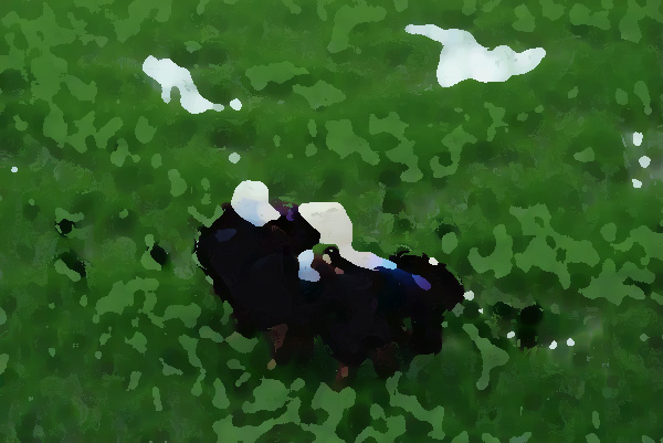 農業品牌形象提升機構,品牌強則農業強