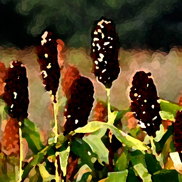 農業老品牌提升,讓品牌強起來