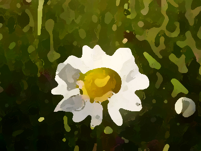 如何進行農業(yè)品牌形象提升？