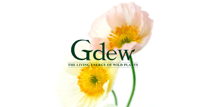 化妝品終端店鋪設計 化妝品終端店鋪設計