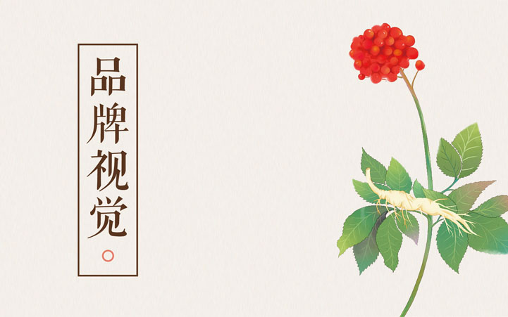 補補吧品牌全案策劃 補補吧品牌全案策劃