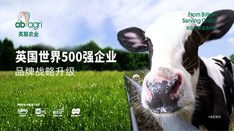 農(nóng)業(yè)品牌全案策劃 農(nóng)業(yè)品牌全案策劃