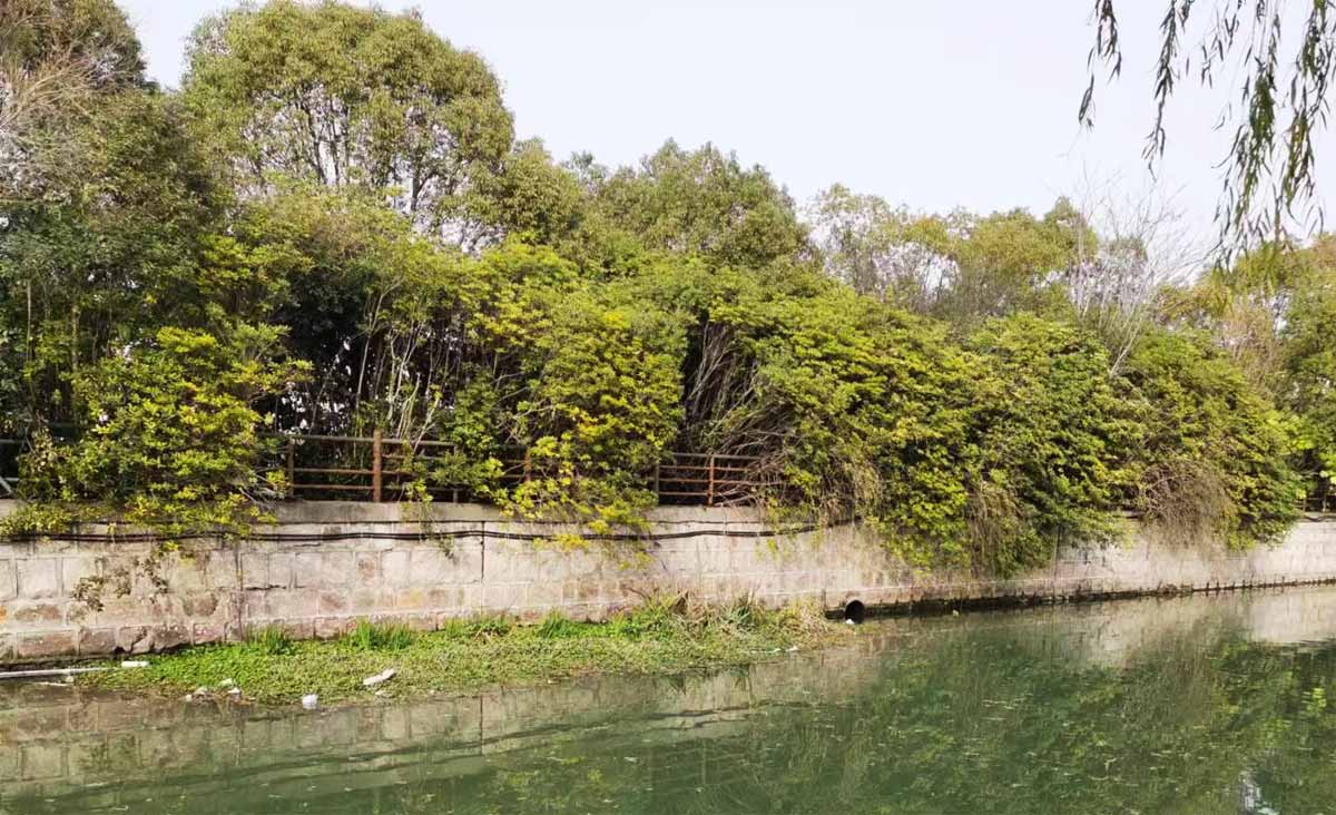 首屆陜西省農(nóng)業(yè)品牌設(shè)計(jì)大賽正式啟動(dòng)