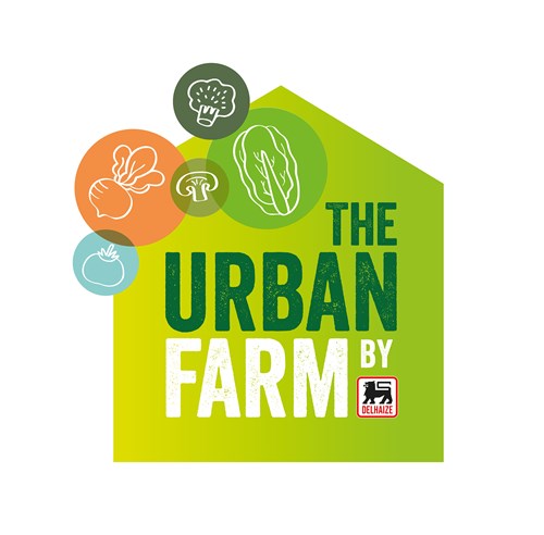 一套時尚的農業品牌設計,設計簡潔明了,用色鮮明,讓人看了過目不忘,值得搞農業品牌朋友學習交流。 一套時尚的農業品牌設計,設計簡潔明了,用色鮮明,讓人看了過目不忘,值得搞農業品牌朋友學習交流。