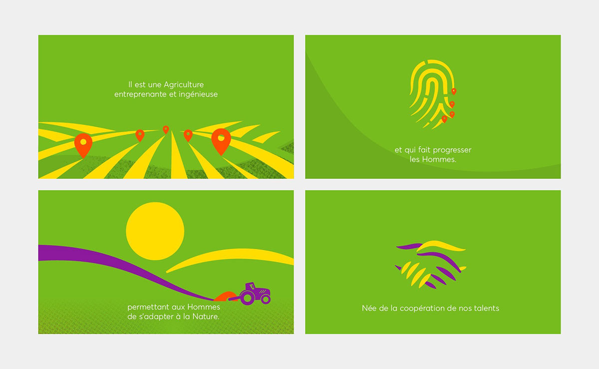 農(nóng)業(yè)品牌升級設(shè)計 農(nóng)業(yè)品牌升級設(shè)計