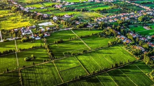 如何做好農業形象升級?