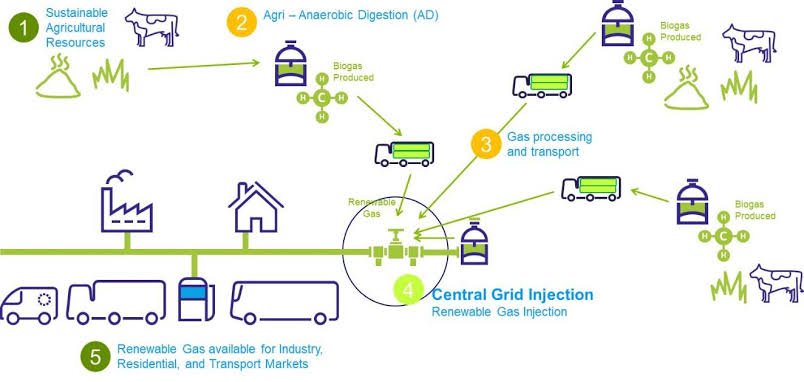 家庭農場創業計劃書