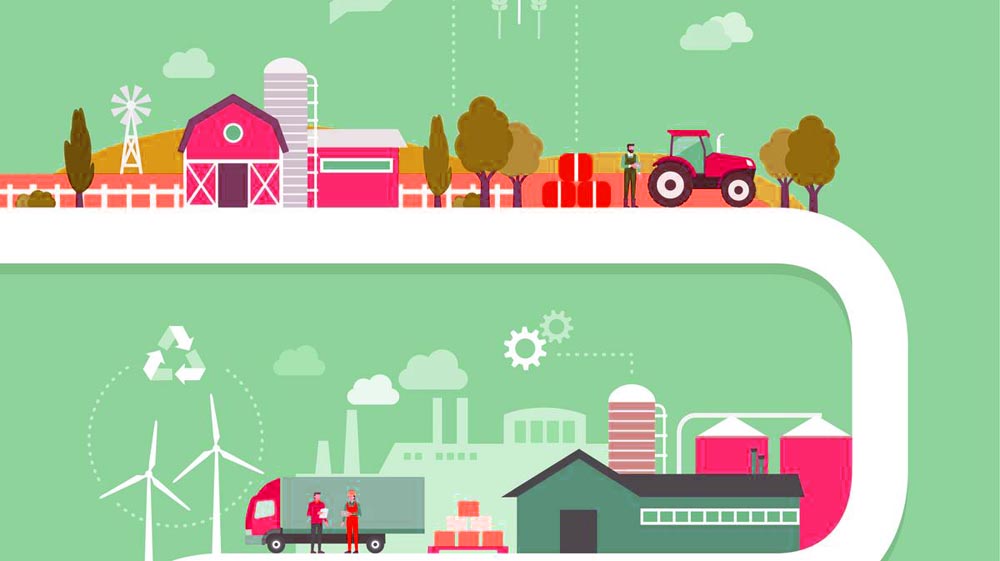 家庭農場創(chuàng)業(yè)計劃書 上海美御農業(yè)品牌建設