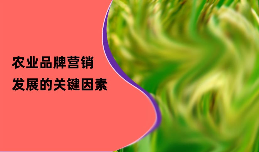 農業(yè)品牌營銷發(fā)展的關鍵因素