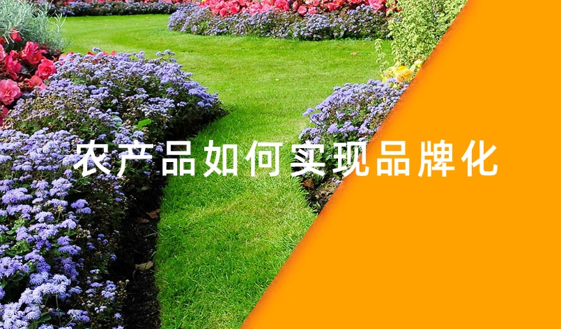 農產品如何實現(xiàn)品牌化