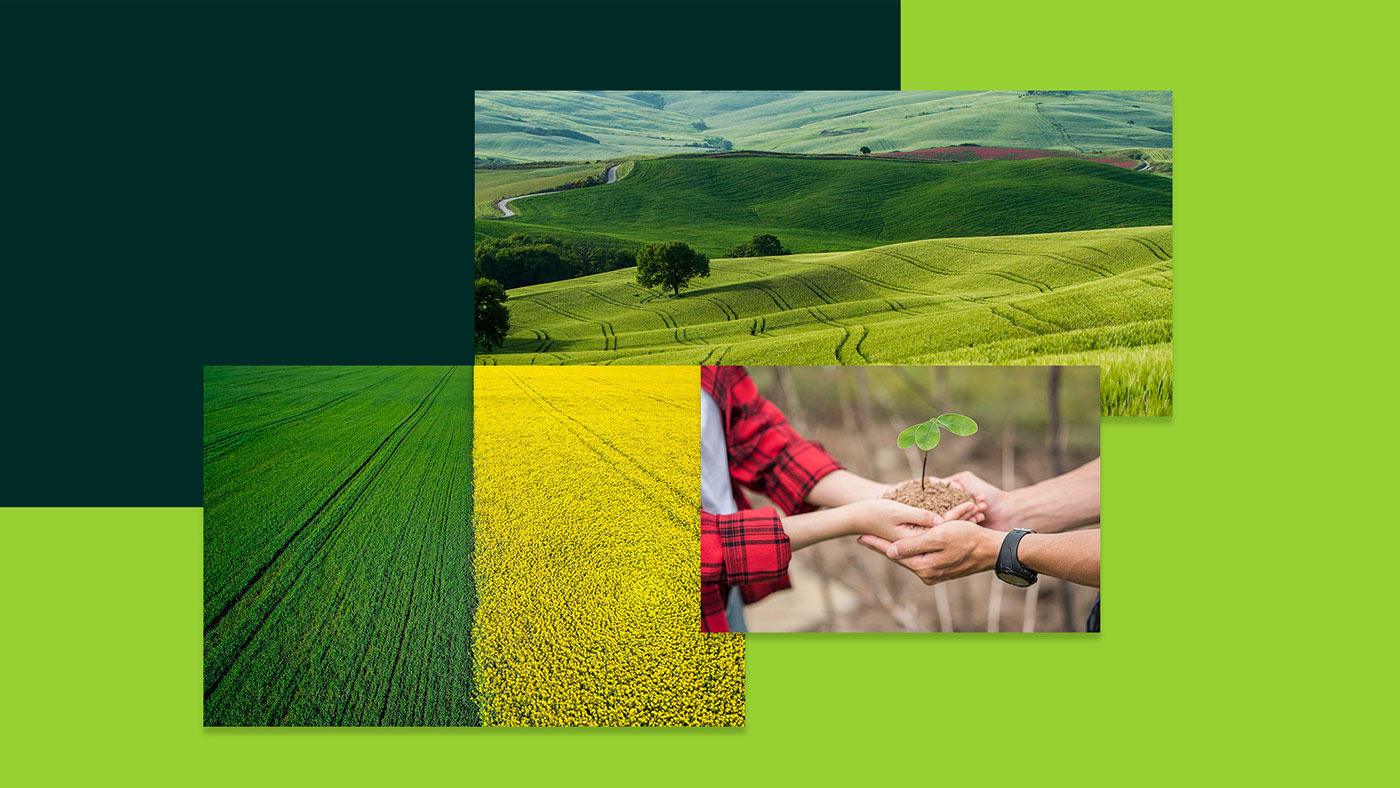 這一套國外的農業(yè)品牌建設案例