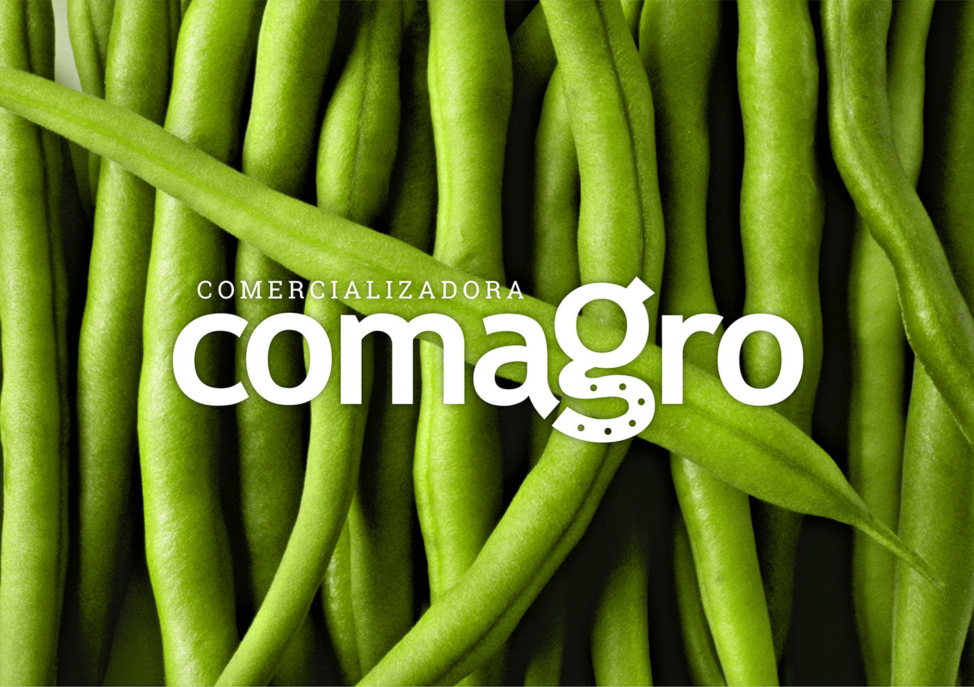 瓜果蔬菜農業(yè)品牌建設欣賞