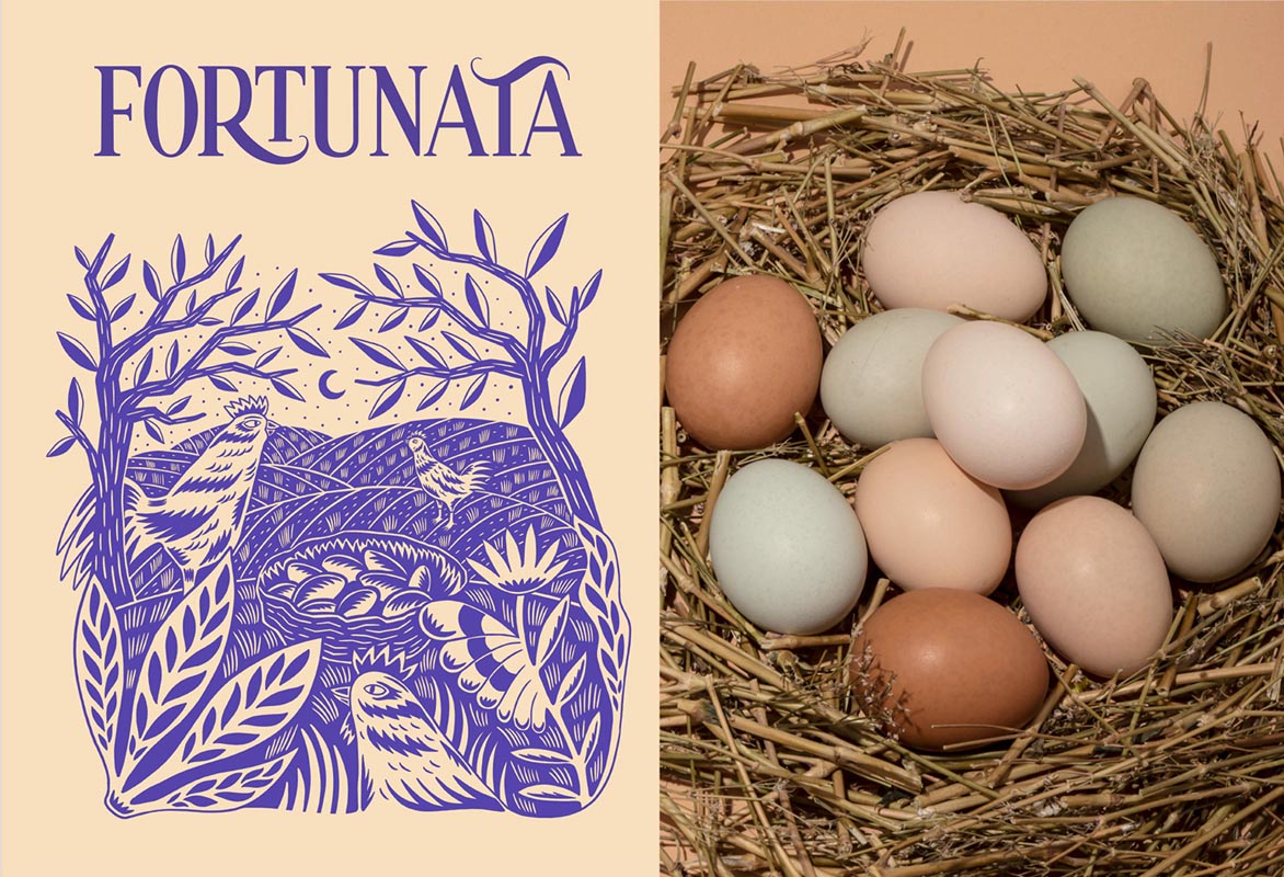 高端土雞蛋包裝設計