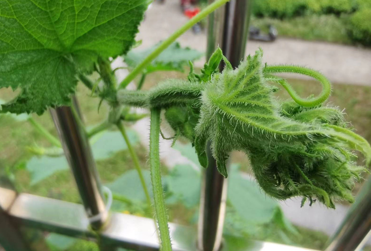 農(nóng)產(chǎn)品公司如何策劃有競(jìng)爭(zhēng)力的品牌定位 農(nóng)產(chǎn)品公司如何策劃有競(jìng)爭(zhēng)力的品牌定位