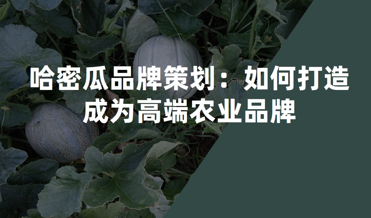 哈密瓜品牌策劃:如何打造成為高端農業品牌