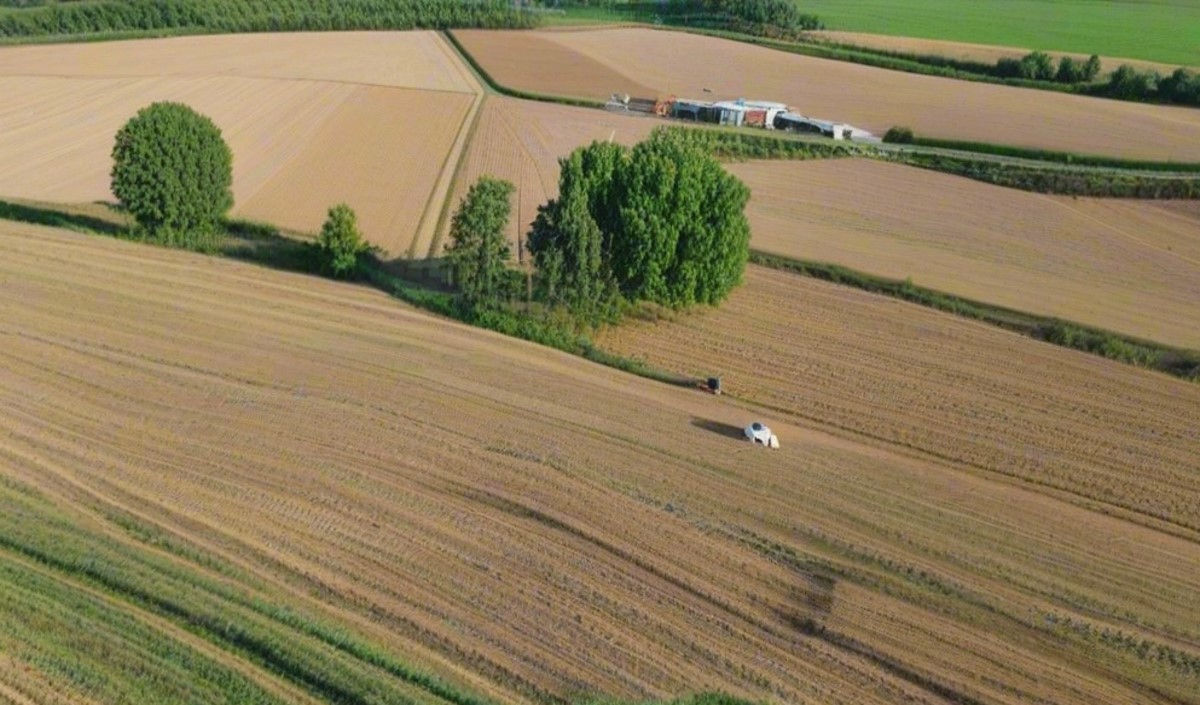 春季農業品牌建設應該找什么樣品牌策劃公司