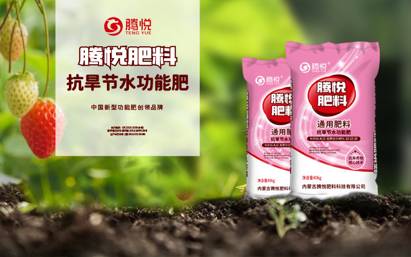 騰悅肥料品牌打造策略總結(jié) 騰悅肥料品牌打造策略總結(jié)