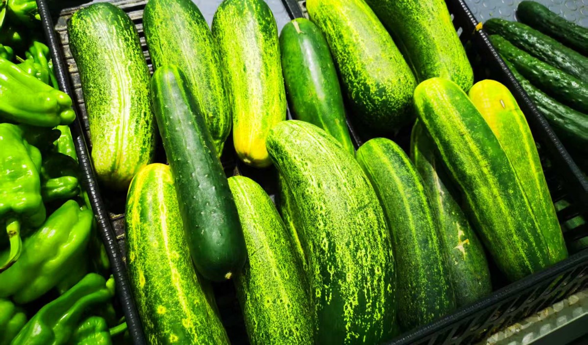 農產品黃瓜營銷策劃指南-重塑黃瓜產業價值鏈條