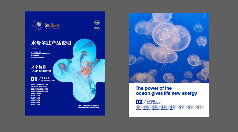 特醫食品營養品品牌全案策劃